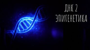 Эпигенетика: как оставаться молодым и здоровым АСМР