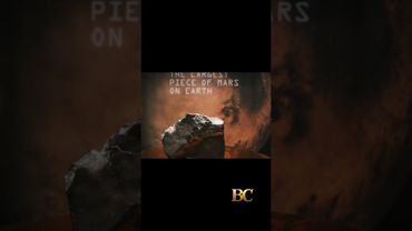 Largest piece of Mars on Earth fetches $5.3 million at auction