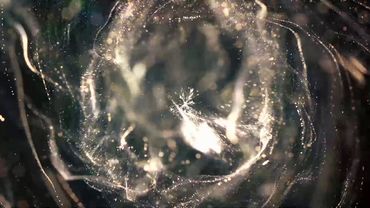 Телемагазин Версаль 08.03.2021 #4