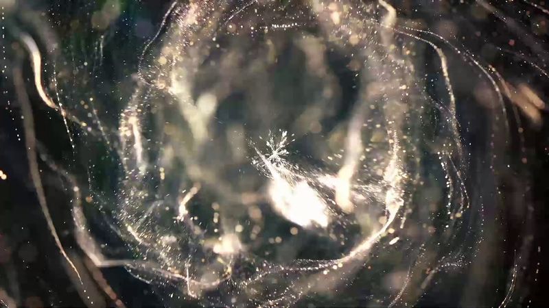 Телемагазин Версаль 08.03.2021 #4