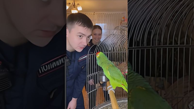 Попугай под допросом — смешная сцена с полицейскими 😂