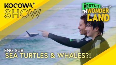 Suho & Kyu hyung Swim with Sea Turtles and Humpback Whales 🐢🌊 | Besties in Wonderland EP02 | KOCOWA+