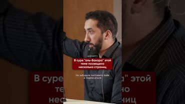 Инструкция для любой сферы жизни I Нуман Али Хан