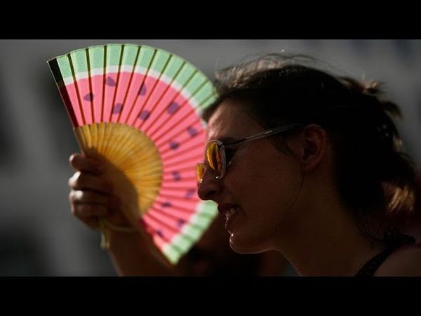 Portugal records 284 excess deaths during heatwave as wildfires rage across Europe