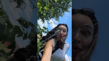 Ядовитый паук в Беларуси?!?😱