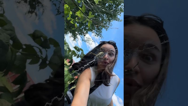 Ядовитый паук в Беларуси?!?😱