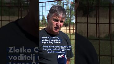 Psi minotragači kao izvozni proizvod