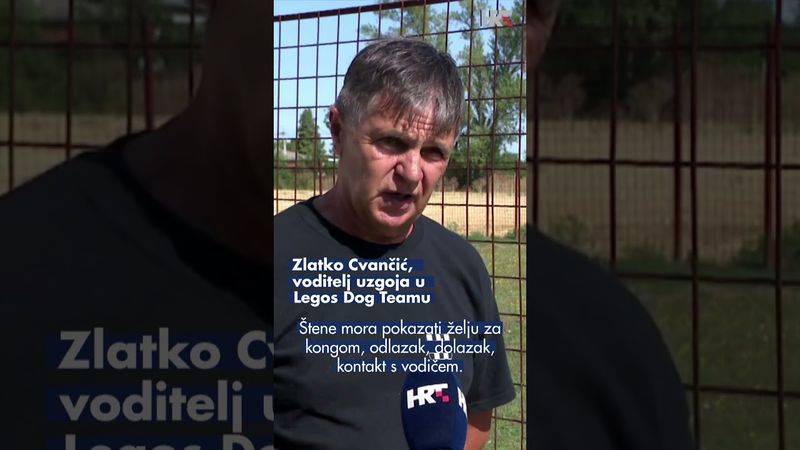 Psi minotragači kao izvozni proizvod