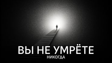 Самая странная идея в науке: Квантовое бессмертие