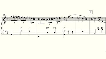 The Second Waltz for accordion PRO video