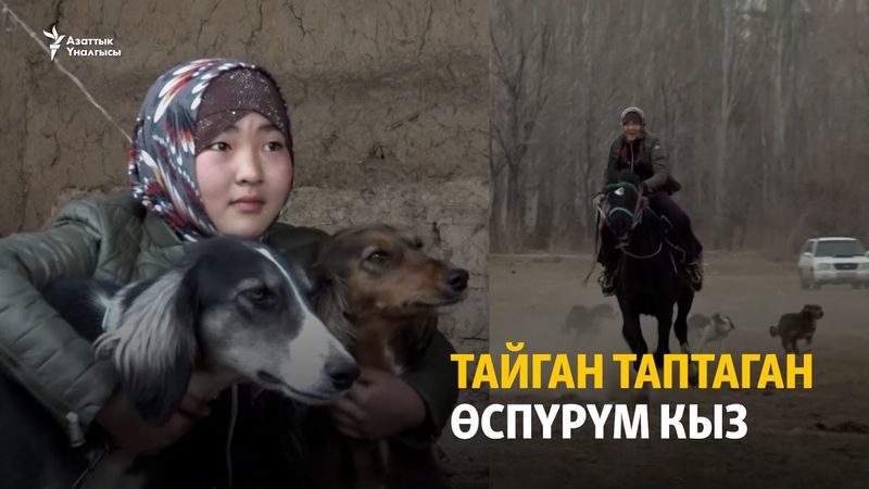Тайган таптаган өспүрүм кыз