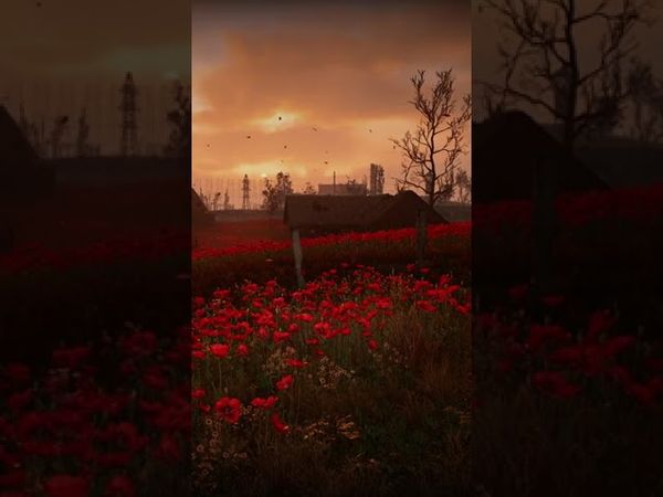 "Peaceful excitement" during Streaming Stalker 2 :3 | #spacemanlive on #Twitch