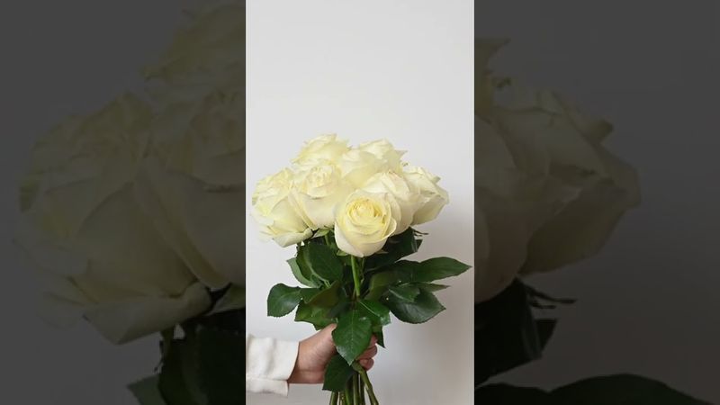 С днём рождения, подруга дорогая…