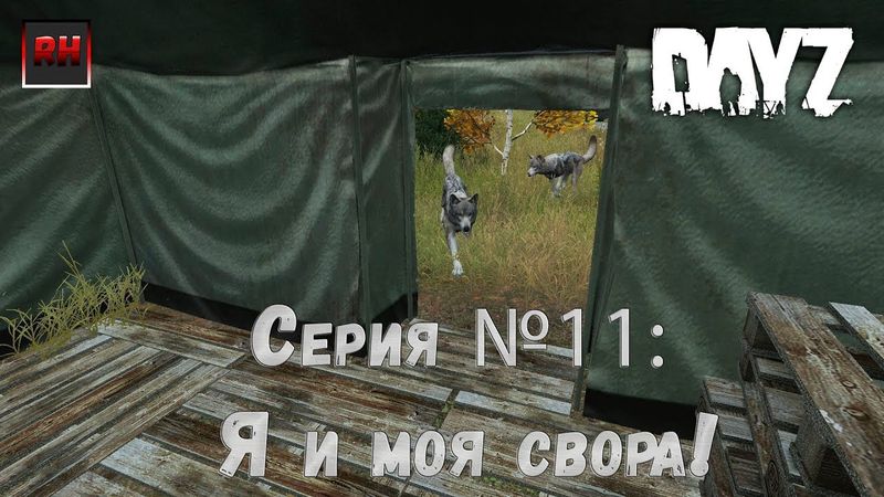 Dayz Standalone. Выживание. (Серия №11 - Я и моя свора!)