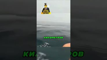 Такое В Море Ещё Не Встречали 🌊😲🐟