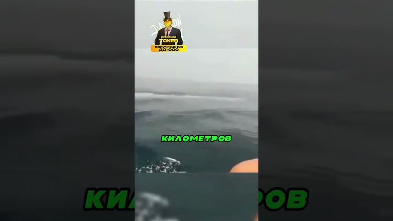Такое В Море Ещё Не Встречали 🌊😲🐟