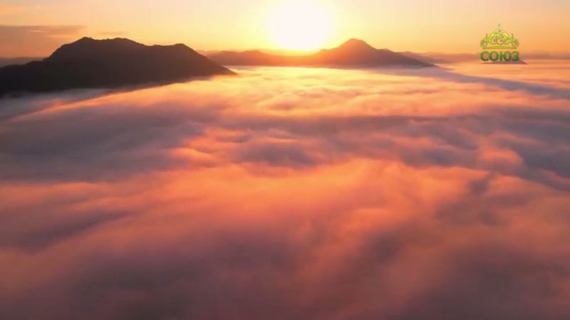 Стихи над миром. Стихотворения Зинаиды Миркиной