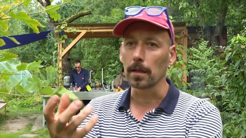 Немецкий знаток трав создал монастырский сад XXI века