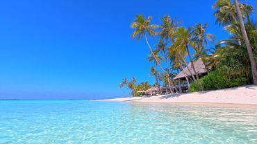 🏝 Turquoise Ocean with Non Stop Waves Sounds for Sleeping. Ocean Sounds. Cozy Ambience