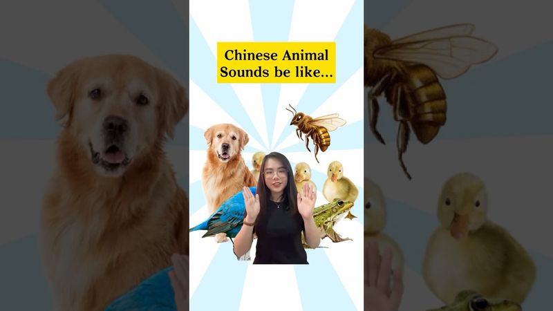 Chinese animal sounds be like… 🐶🐥🐝🐸🦆#learnmandarin #speakmandarin