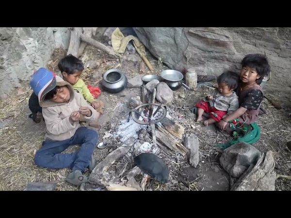 Shifting domestic animals to another place || Happy life videos' EP 114 ||