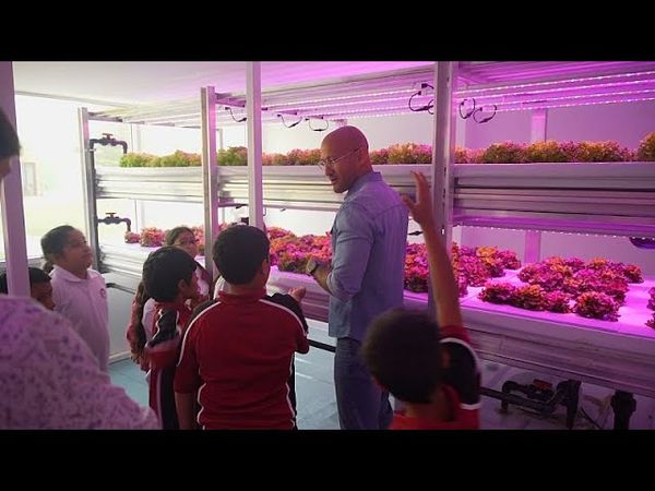 Exploring Qatar’s transformation into a sustainable and climate resilient nation | Qatar 365