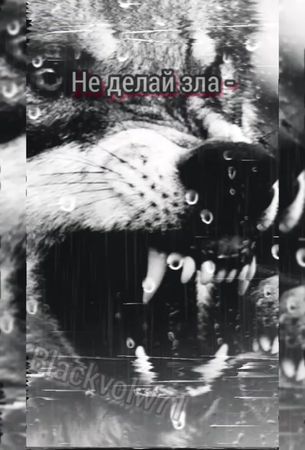 TikTok video #7071626584653876485