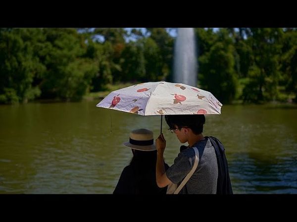 Amid brutal heatwaves, Spain sees one of its worst months for heat-related deaths