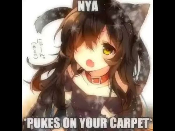 Nya-?