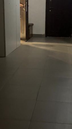 Майже вийшло, але ліфт вніс корективи🥲 #коргі #corgipuppy #коргіукраї...