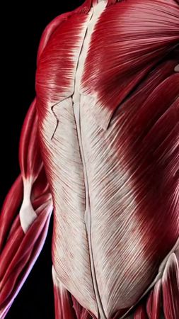 Что будет с вашим организмом если пить много воды? #рекомендации #здо...