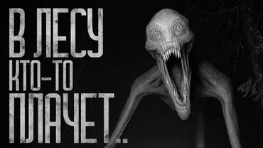 В ЛЕСУ КТО-ТО ПЛАЧЕТ! Страшные истории и страшилки.