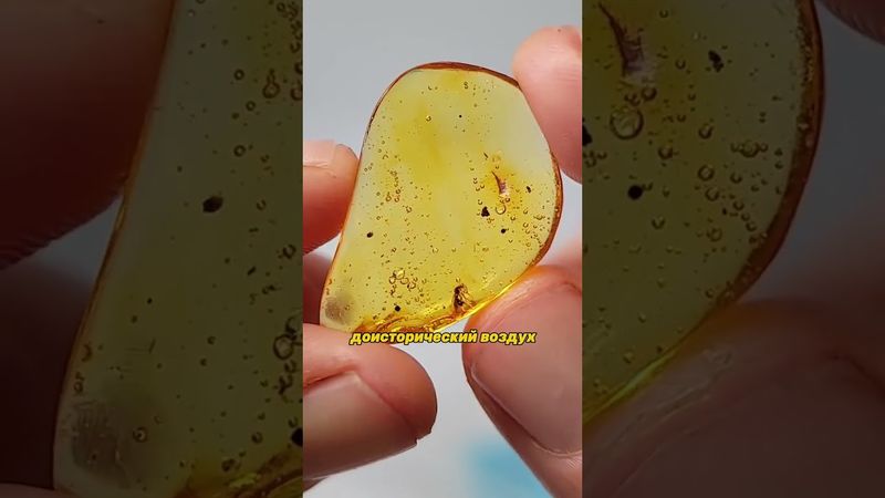 🔶 Динозавры с перьями? Что можно найти внутри янтаря? #шортс