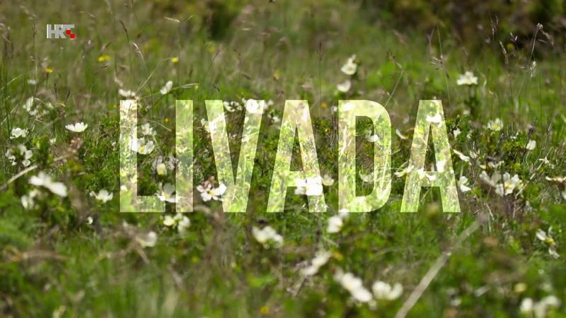 Livada – oaza života