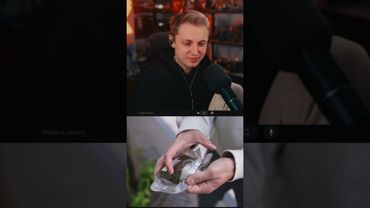 онигири #стинт #stint #stintik #прикол #реакция