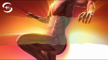 حمایت از عضله سازی - فرکانس رشد عضلانی - ریکاوری عضلات