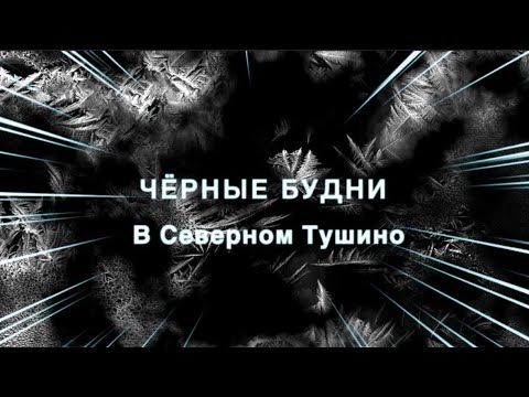 ЧЕРНЫЕ ДНИ В СЕВЕРНОМ ТУШИНО 😡