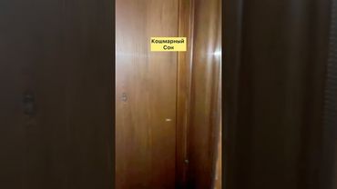 Приснится же такое 🤔#юмор