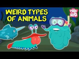Weird Animals In The World - The Dr. Binocs Show |  Best Learning Videos For Kids | Dr Binocs