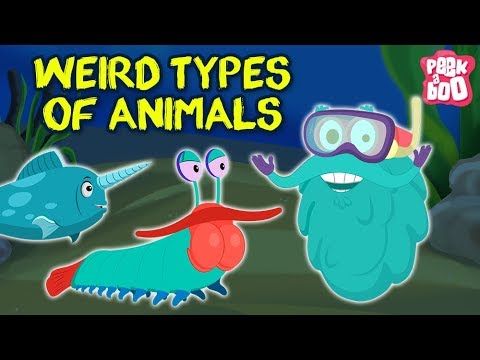 Weird Animals In The World - The Dr. Binocs Show |  Best Learning Videos For Kids | Dr Binocs