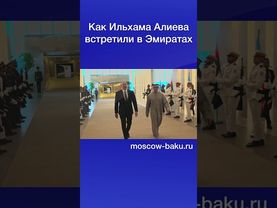 Как Ильхама Алиева встретили в Эмиратах
