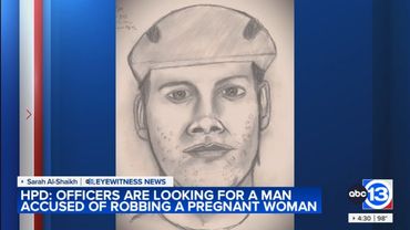 HPD releases sketch of man tied to 4 incidents, including alleged attack, robbery of pregnant woman