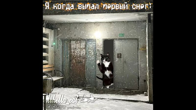 🎄#умаляюзалети #cat #активнепадай #рек #teameork #микелла #мем #активприди #активвернись #Ыы #ت