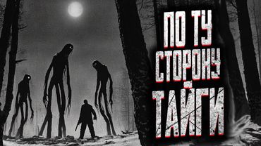 ОХОТНИК НАШЕЛ ОБЛОМКИ САМОЛЁТА В ТАЙГЕ! Страшные истории на ночь. Мистика. Страшилки на ночь.