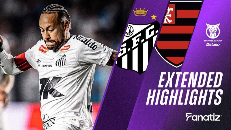 Santos vs. Flamengo 1 -  0 I Game Highlights I Brasileirão 2025