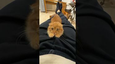 Серьезный разговор