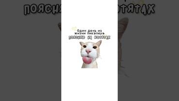 Один день из жизни пикапера