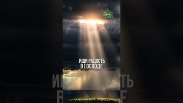 Совет дня - Борись с унынием