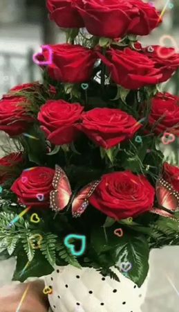 TikTok video #7065336548715285761