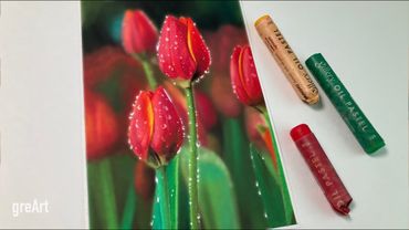 Oil pastel Drawing/Drawing Tulips🌷오일파스텔로 튤립그리기